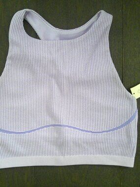 NWT OFFLINE by Aerie Purple Sports Bra